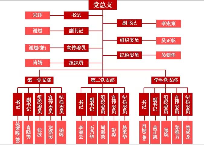 党组织结构.jpg